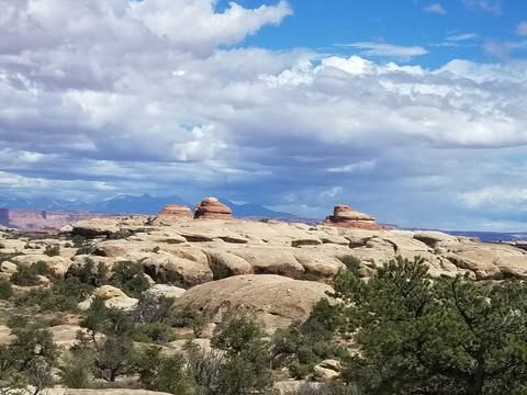 Elephant Hill slickrock and the Needles District skyline