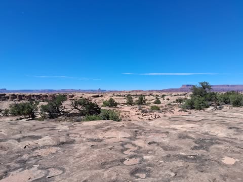 Slickrock and canyon country in the Needles District of Canyonlands