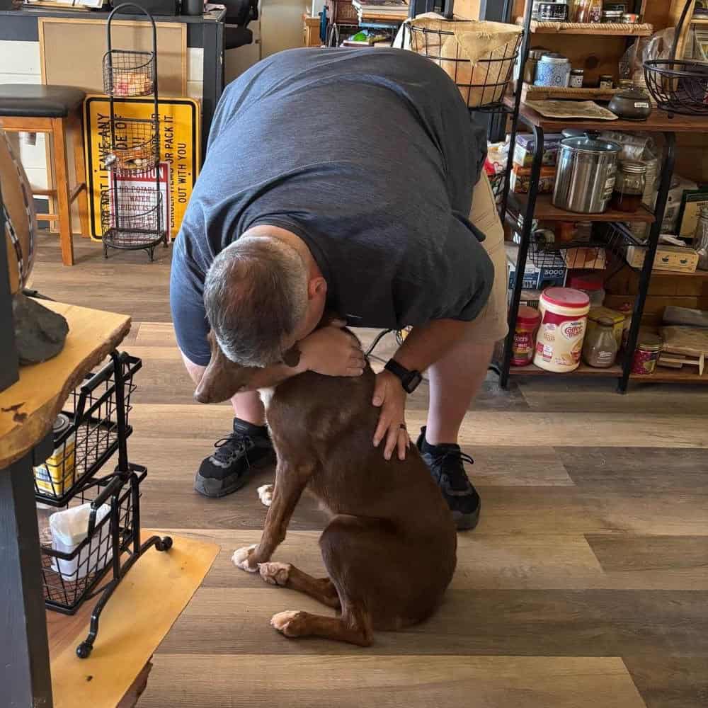 Dog inside the Needles Outpost store